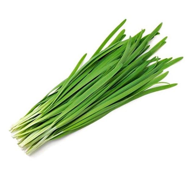 Chive Leaf
