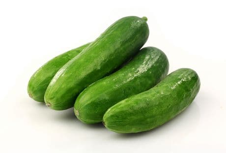 Cucumber