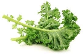 GAP Curly Lacinato Kale