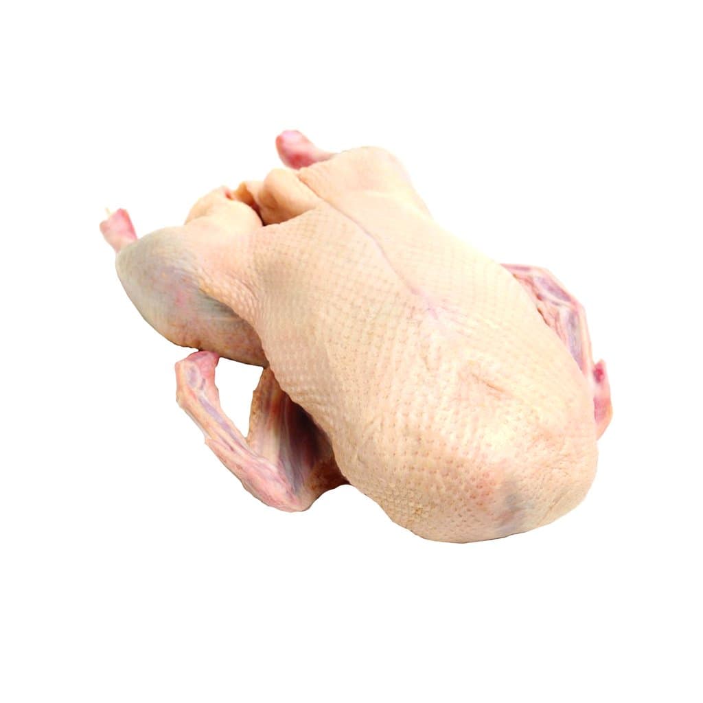 Duck Sompov