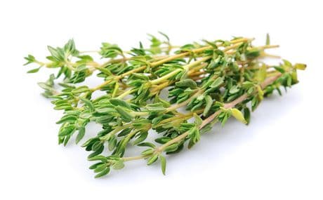 Fresh Thyme