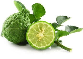 Kaffir Lime