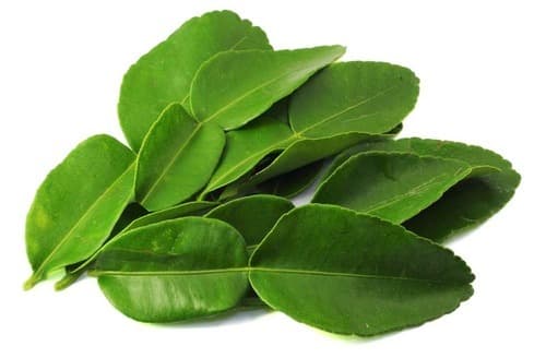 Kaffir Lime Leaf