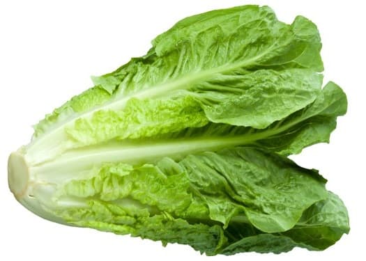 Romaine Salad