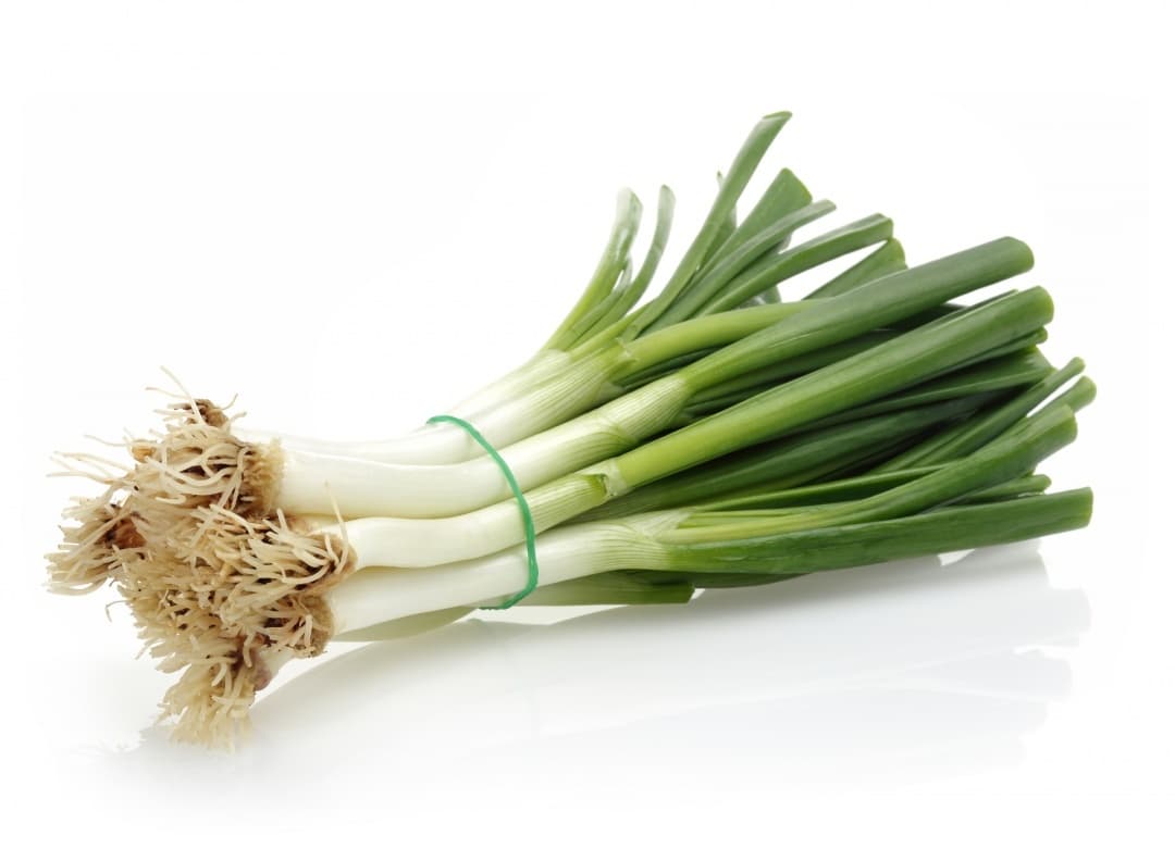 Leek