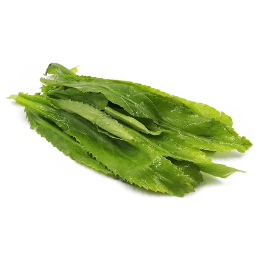 Long Mint Leaf