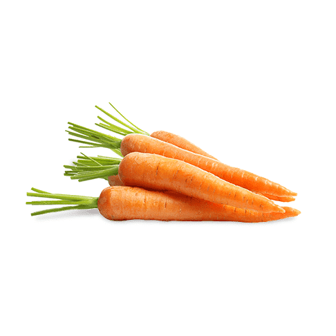 Baby Carrot