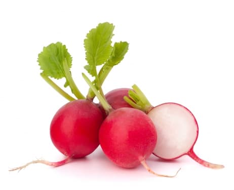 Red Round Radish