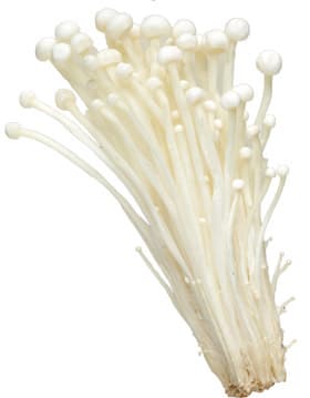 Enoki Mushroom