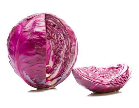 Purple cabbage
