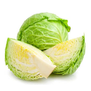 White Cabbage