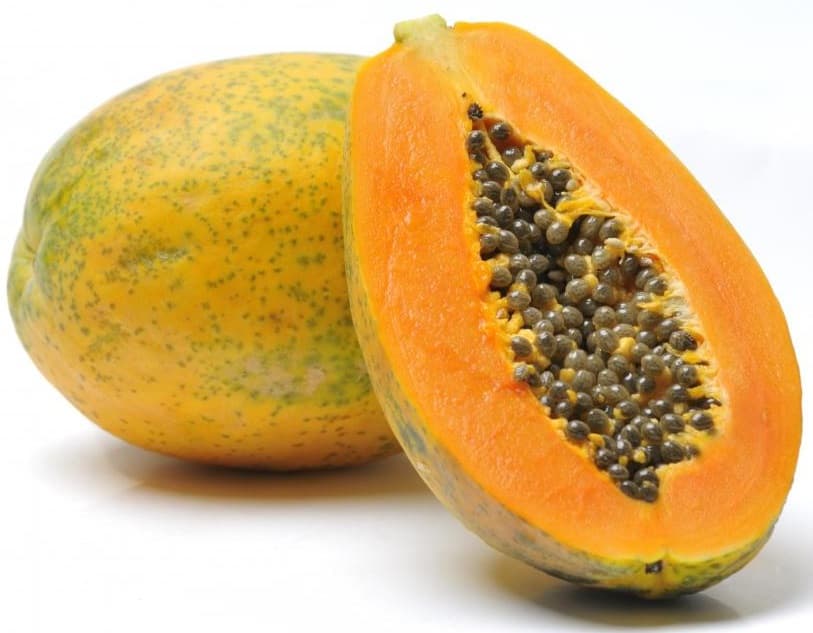 Papaya