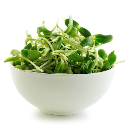 Organic Sunflower Sprouts
