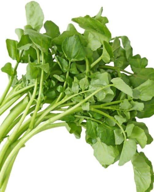 Watercress