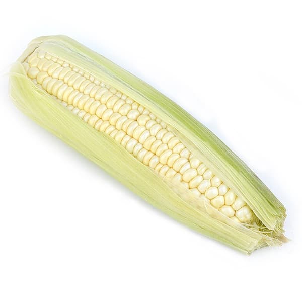 White Corn - Khmer Organic