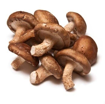 Black Mushroom (Shiitake)