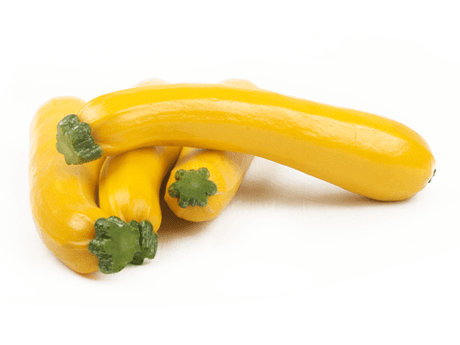 Zucchini Yellow
