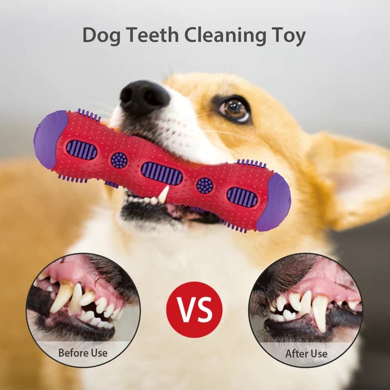 Toothbrush Stick Dental Chew With Crackle 3