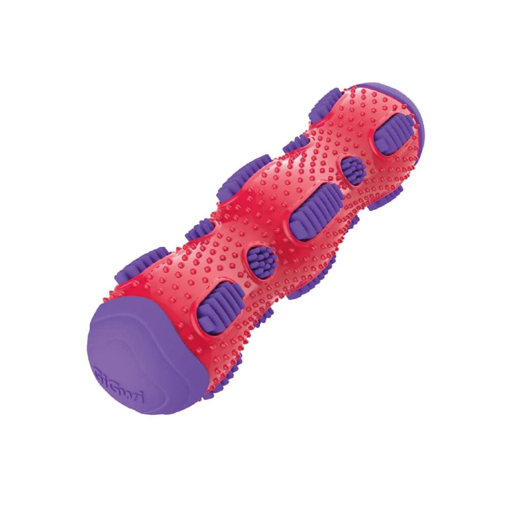 Toothbrush Stick Dental Chew With Crackle 2