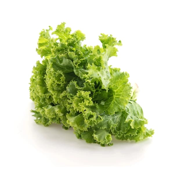 Salad & Cabbage