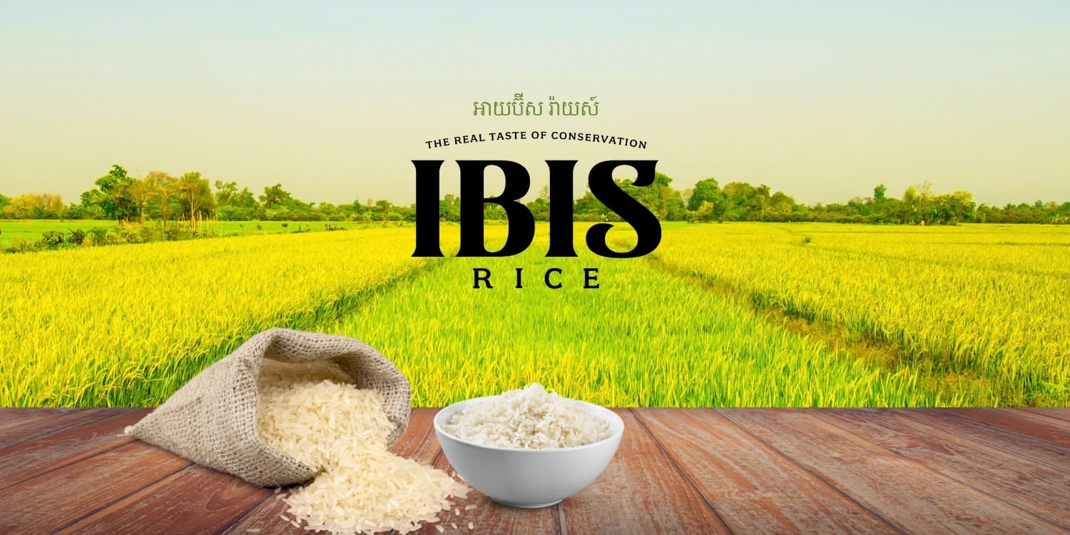 Ibis Rice