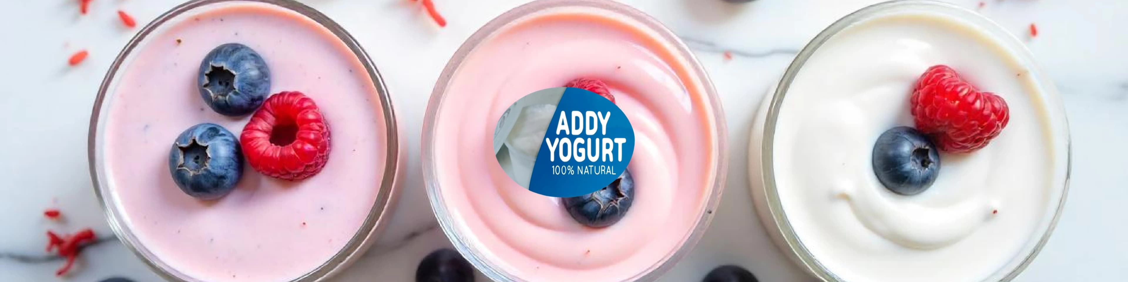 Addy Yogurt