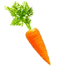 Vegetables & Fruits